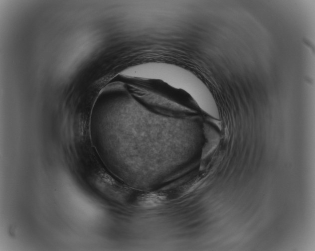 X0000091470239200709131758