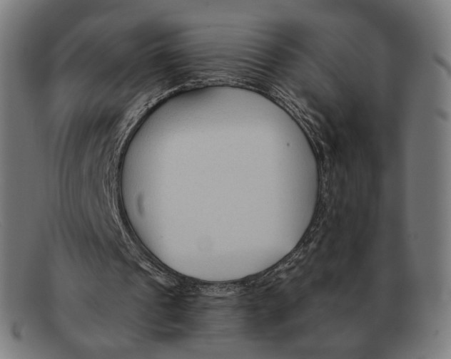 X0000091470241200709131758