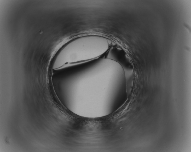 X0000091470248200709131758