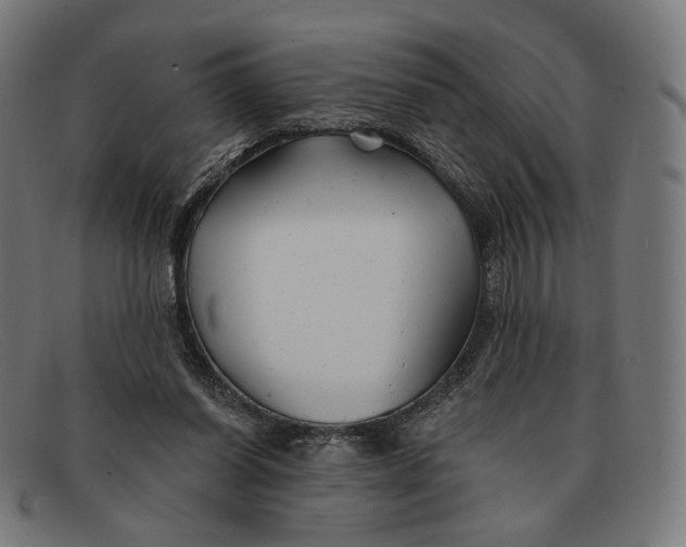 X0000091470254200709131758