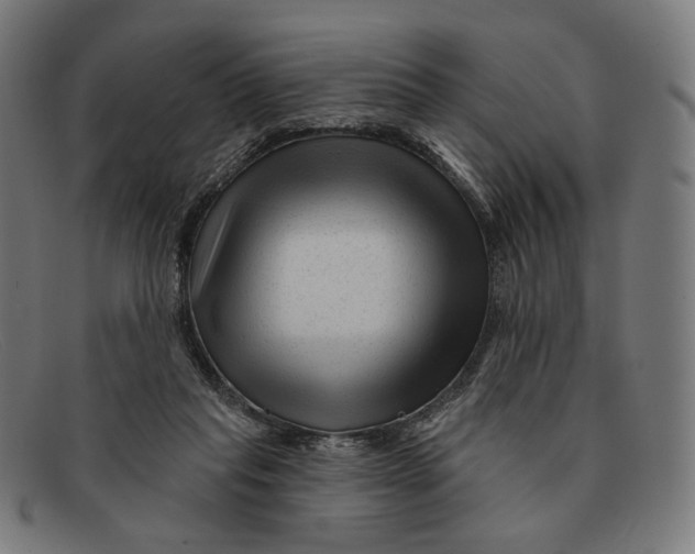 X0000091470261200709131758