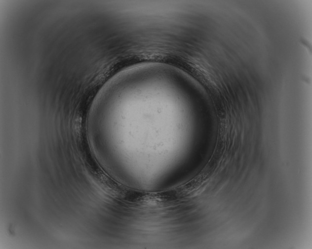 X0000091470263200709131758