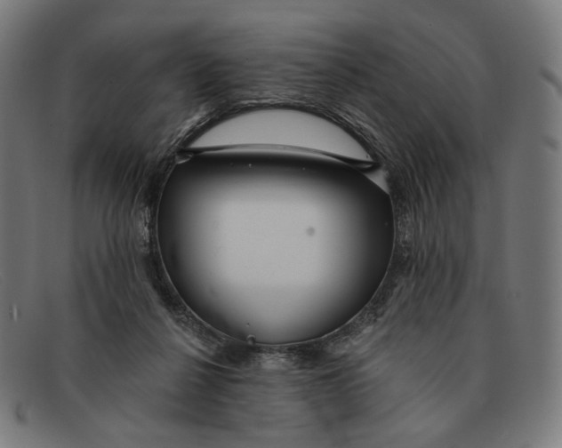 X0000091470264200709131758