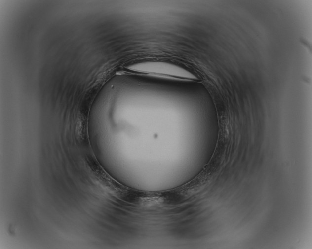 X0000091470266200709131758