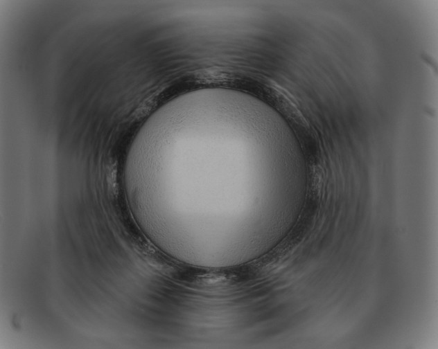 X0000091470267200709131758