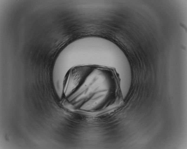 X0000091470268200709131758