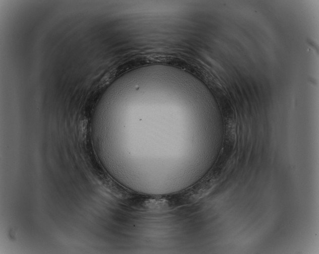 X0000091470271200709131758