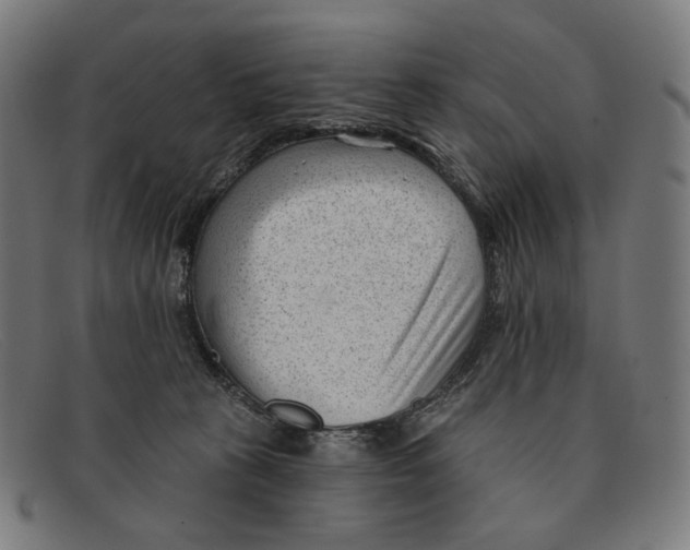 X0000091470273200709131758