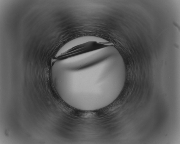 X0000091470274200709131758