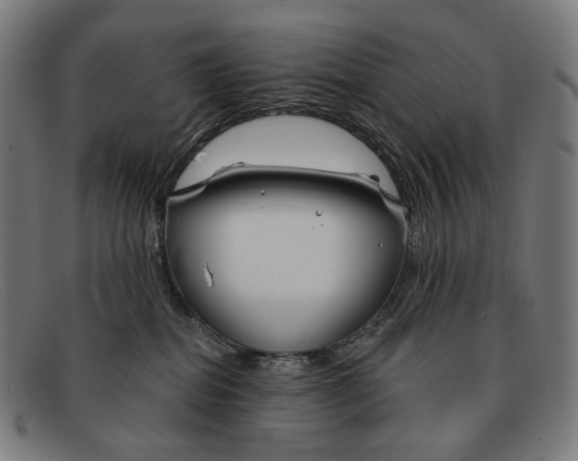 X0000091470282200709131758