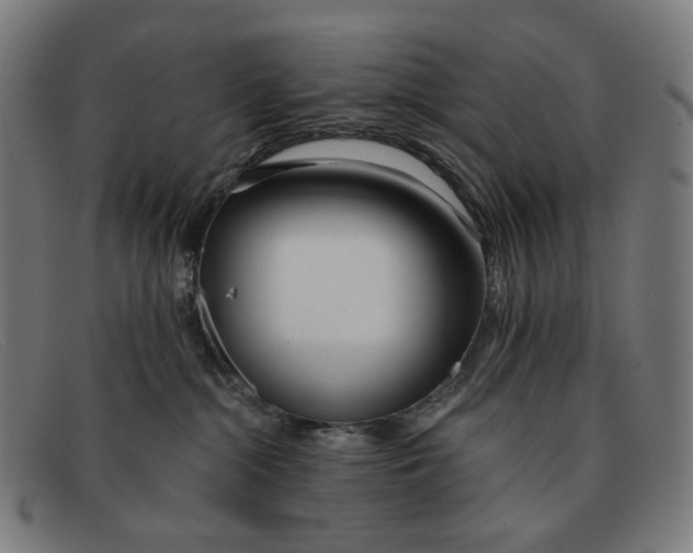 X0000091470284200709131758