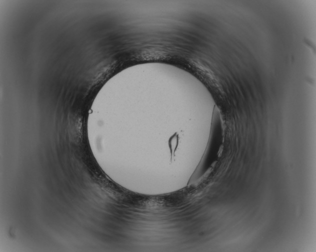 X0000091470308200709131758