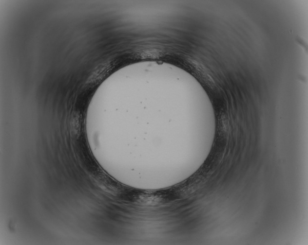 X0000091470311200709131758