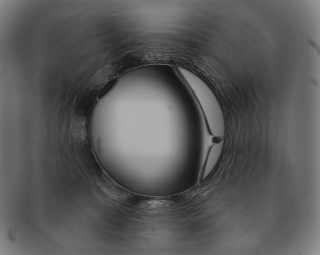 X0000091470323200709131757