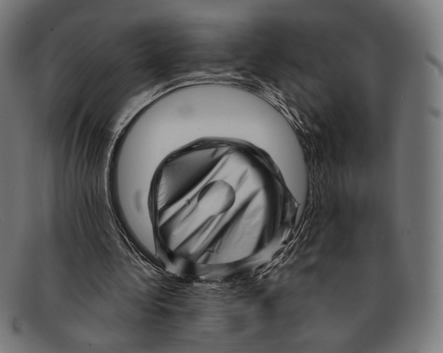 X0000091470340200709131757