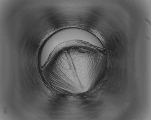 X0000091470346200709131757