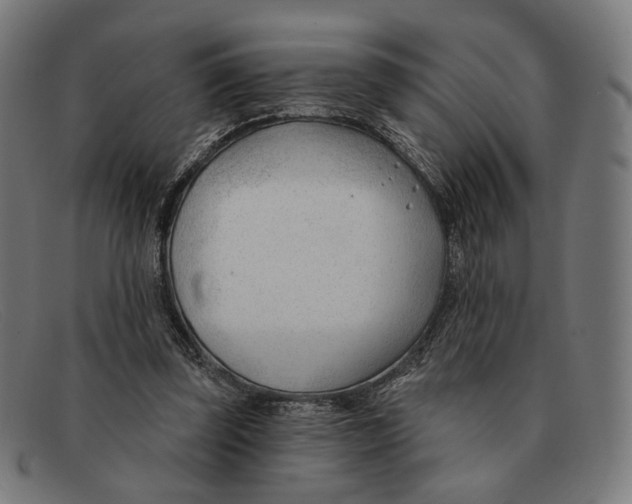 X0000091470347200709131757