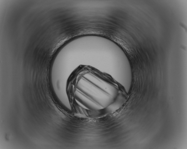 X0000091470352200709131757