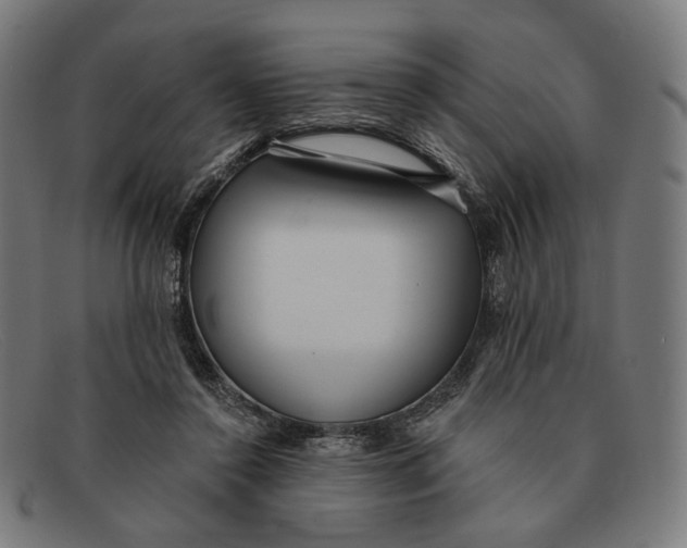 X0000091470356200709131757