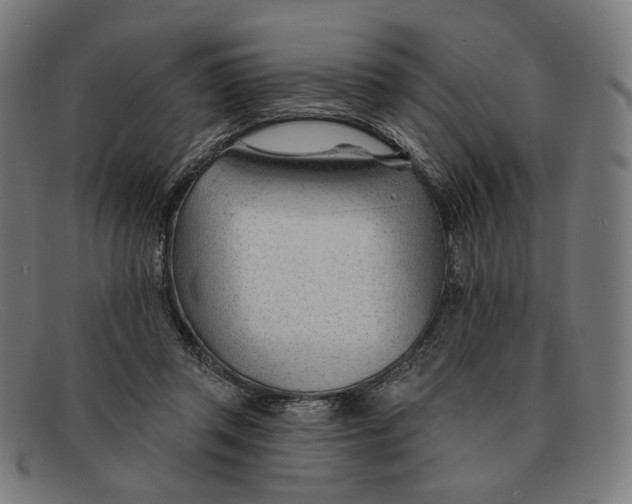 X0000091470357200709131757