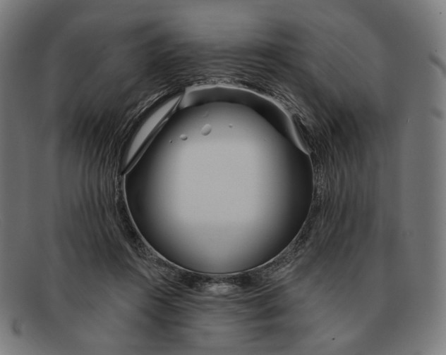 X0000091470360200709131757