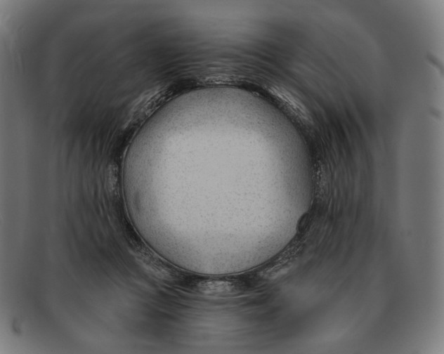 X0000091470361200709131757