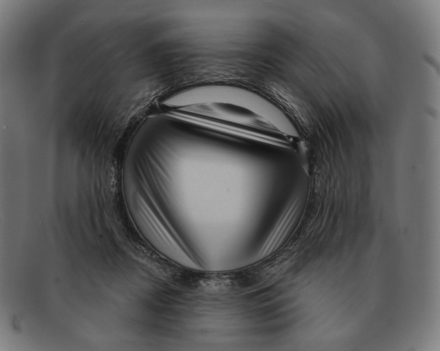 X0000091470362200709131757