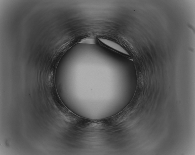 X0000091470364200709131757