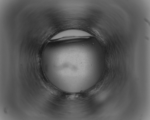 X0000091470366200709131757