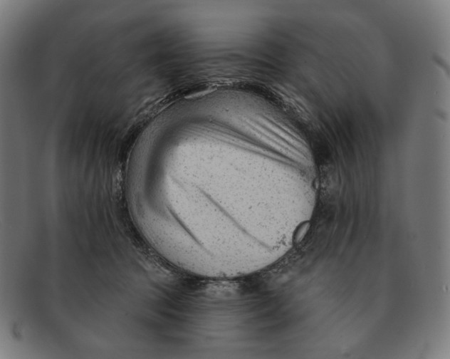 X0000091470369200709131757