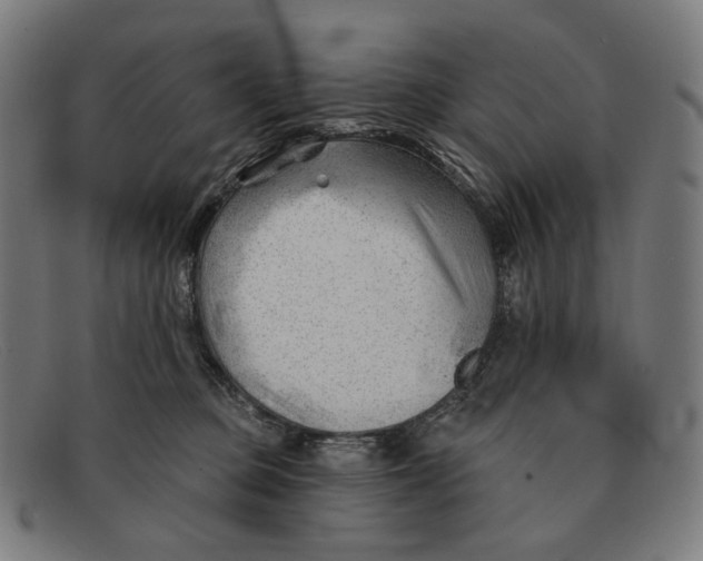 X0000091470373200709131757