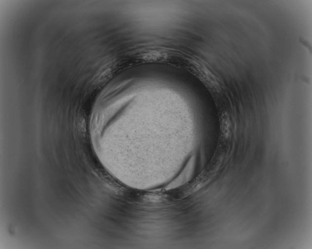 X0000091470375200709131757