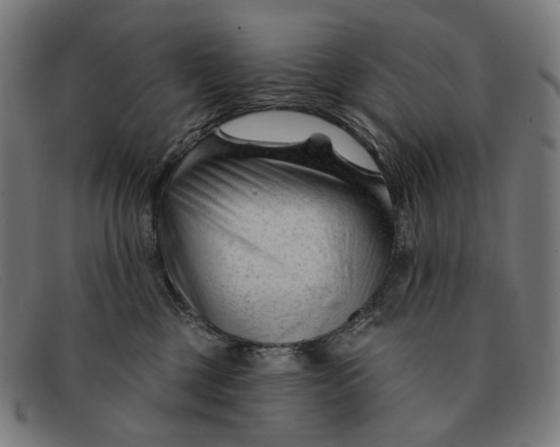 X0000091470377200709131757