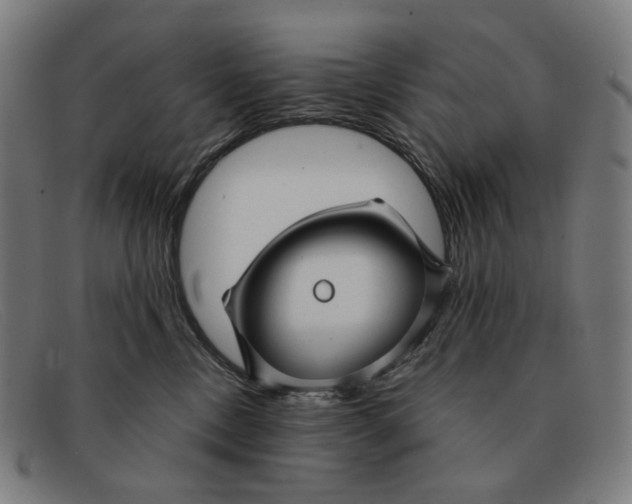 X0000091470378200709131757