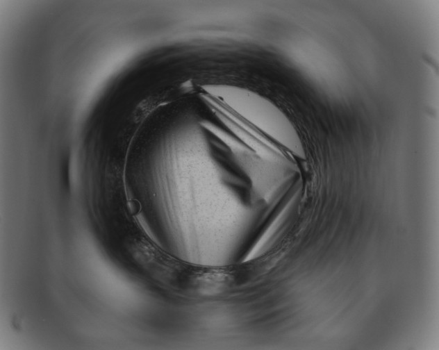 X0000091470383200709131757