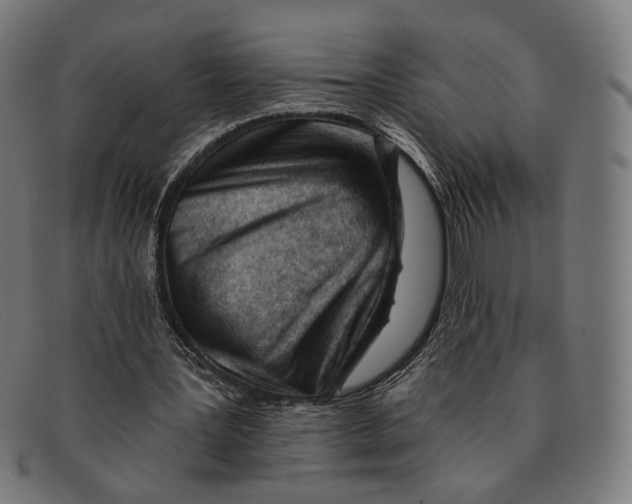 X0000091470387200709131757