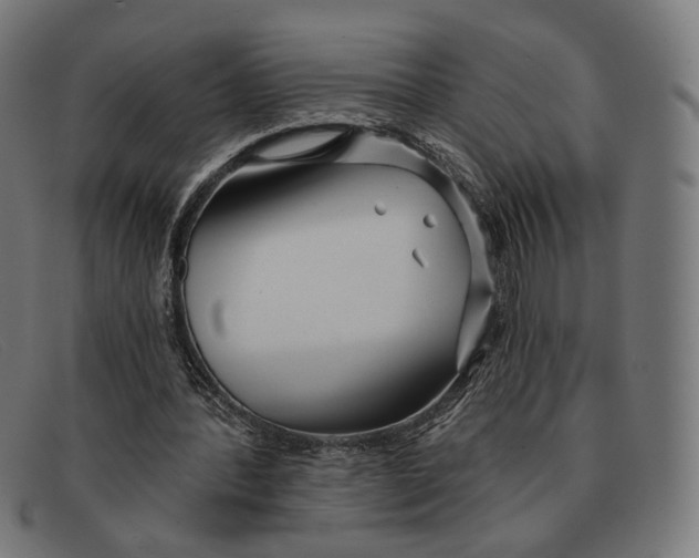 X0000091470388200709131757