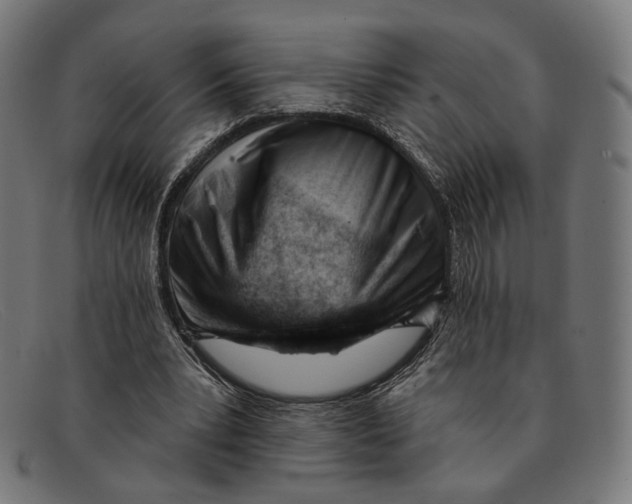 X0000091470391200709131757