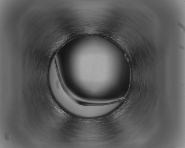 X0000091470393200709131757