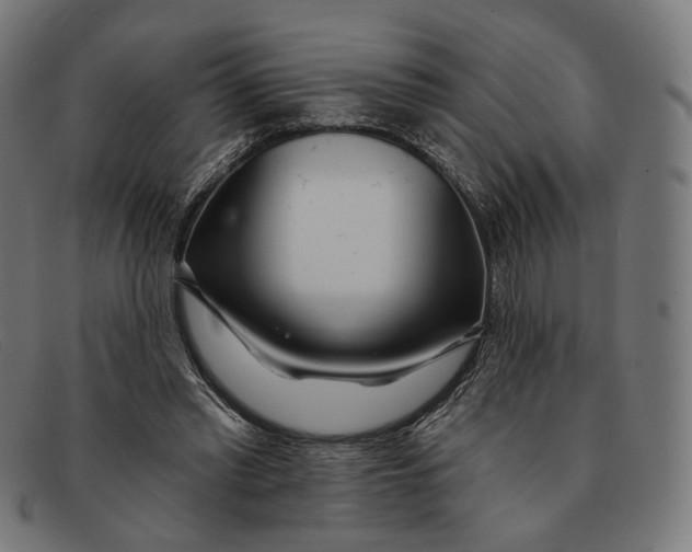 X0000091470397200709131757