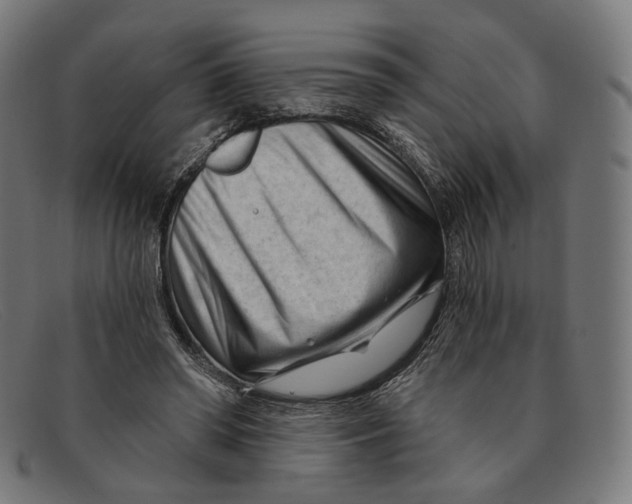 X0000091470398200709131757