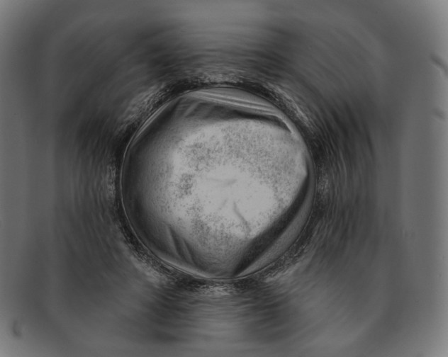 X0000091470402200709131757