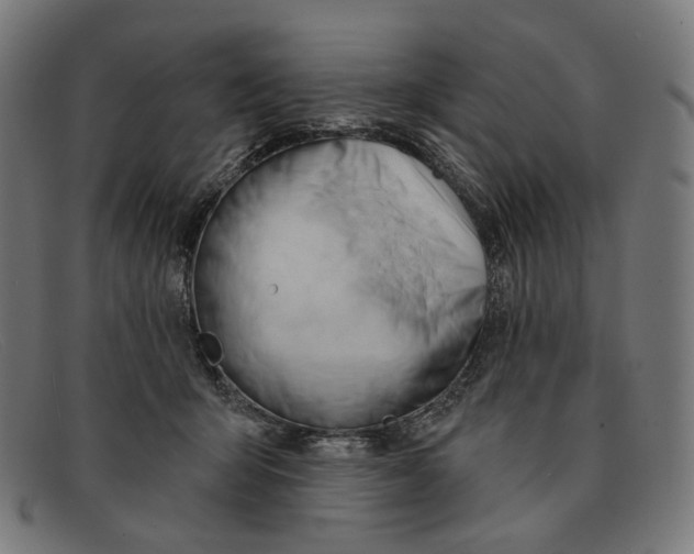 X0000091470415200709131756