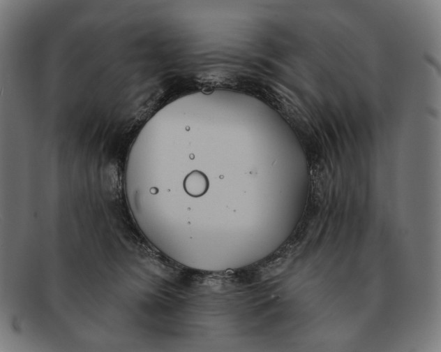 X0000091470420200709131756