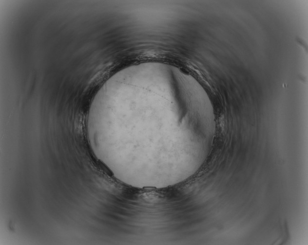 X0000091470423200709131756