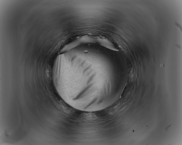 X0000091470424200709131756