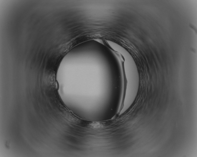 X0000091470425200709131756