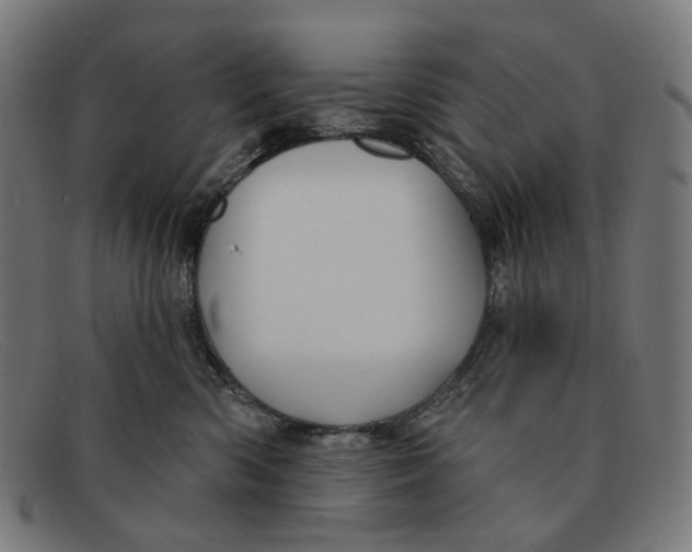 X0000091470426200709131756