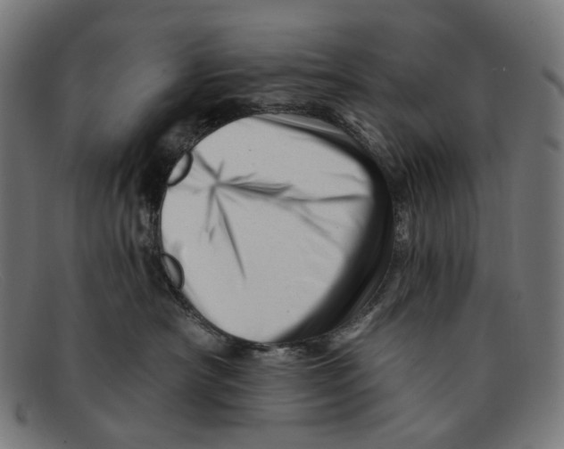 X0000091470430200709131756