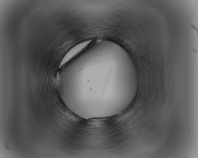 X0000091470432200709131756